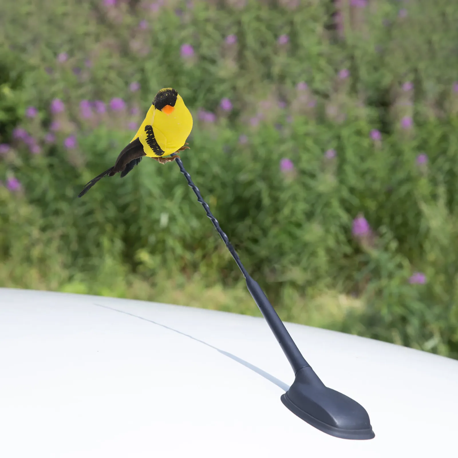 

Adorable Bird Design Car Antenna Topper Exterior Car Decoration Cute Auto Antenna Ornament Enhances Signal Reception Vehicle