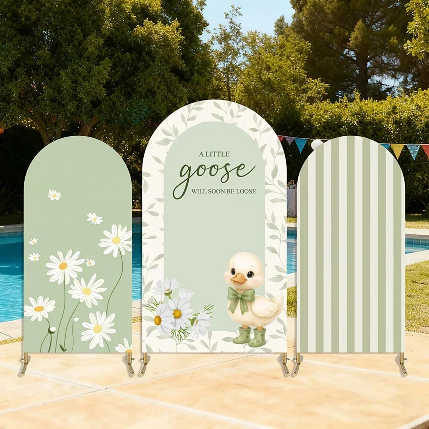 Custom Sage Green Silly Goose Arch Backdrop Cover kids Birthday Party Baby Shower decor Double Sided Arch Photography Background