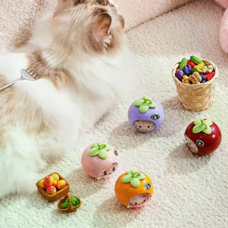 1/4 قطعة لطيف الفاكهة شفافة الحيوانات الأليفة القط الكلب جامع الشعر المفاتيح الإبداعية المحمولة شعر الحيوانات الأليفة التذكاري حقيبة التخزين قلادة #4