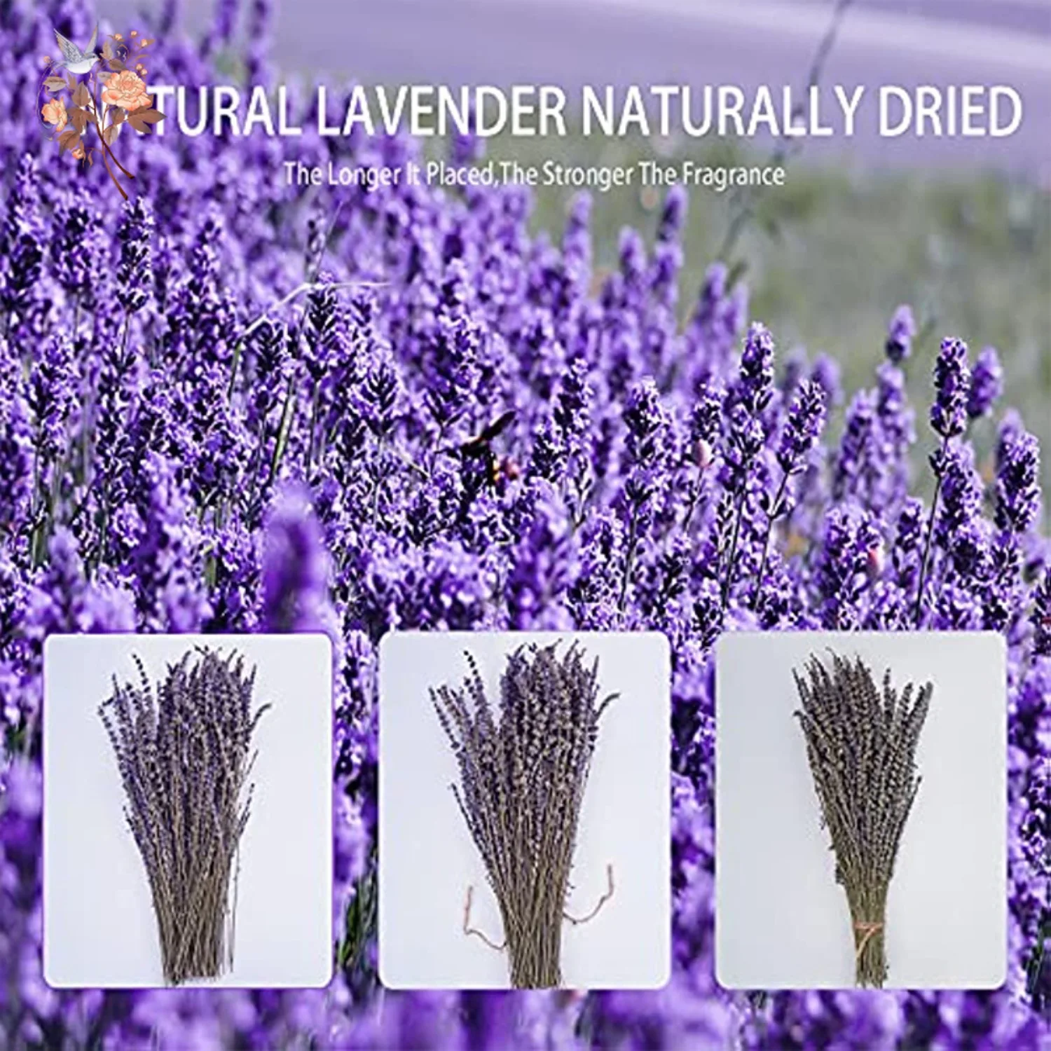 50/100g Natural Dried Lavender Flowers Bundles Weding Arrangements Boho Home Garden Table Decoration Fragrance DIY Crafts Gift