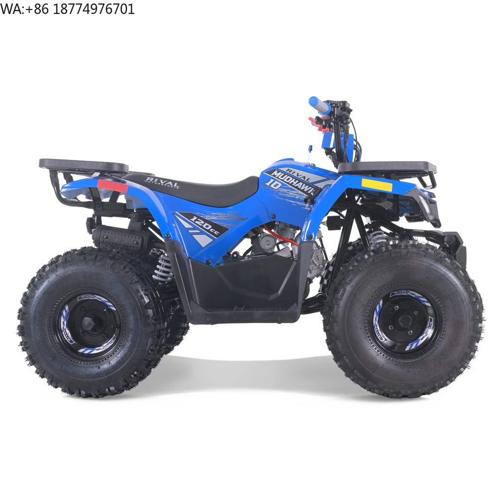 Tao Motor 2024 Nuevo ATV Económico para Granja, ATV Automático con Tracción en las Cuatro Ruedas, ATV para Niños de 110cc