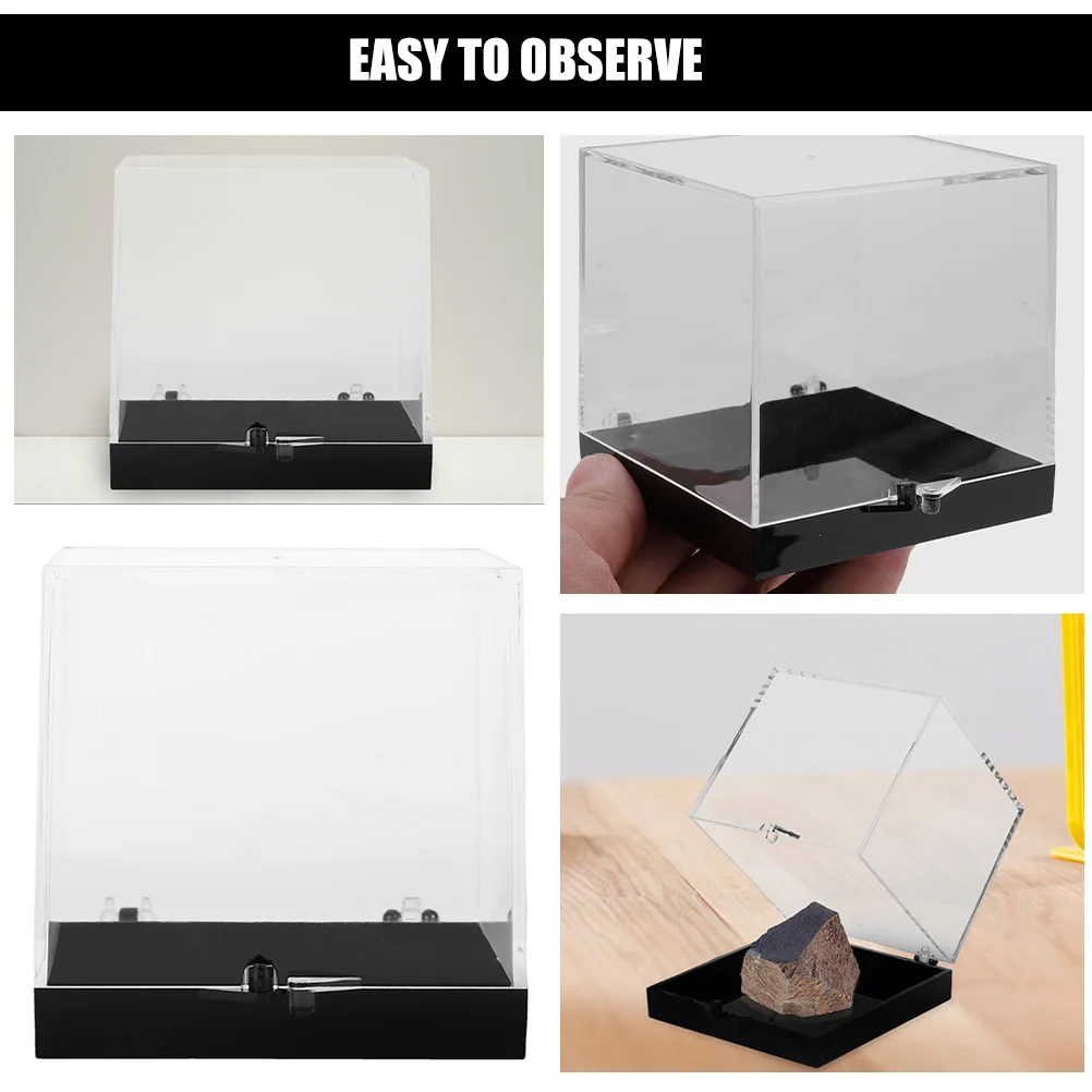 Dustbin Ore Display Box Rock Stand Mineral Sample Case Organizer Specimen Plastic Holder Container Office Man