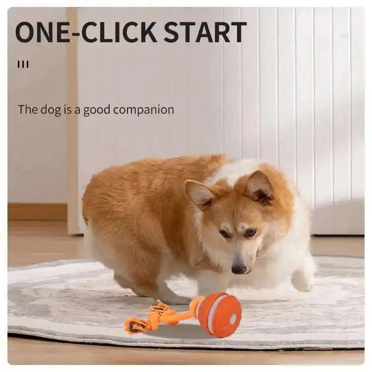 Interactive Motion Dog Toy 2