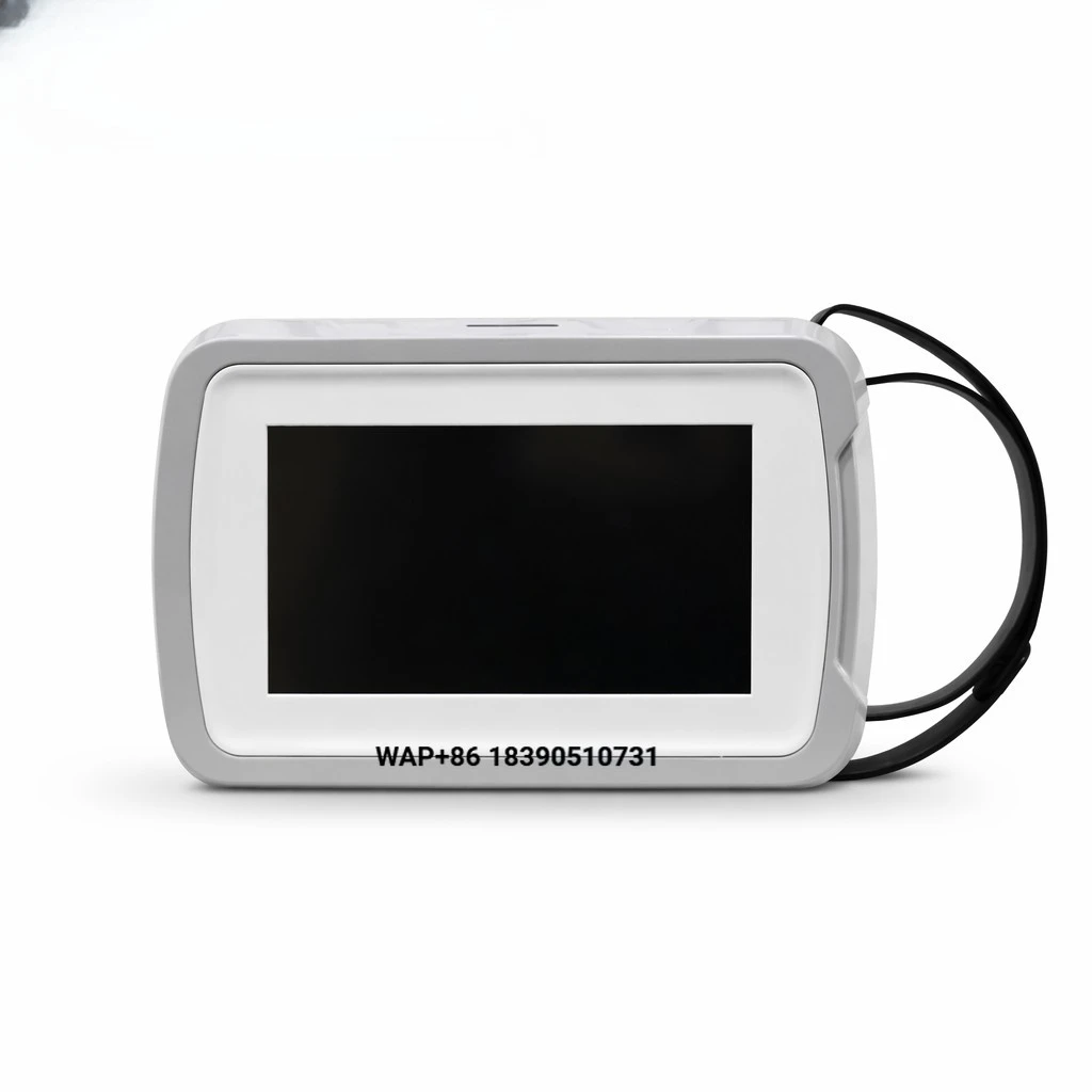 Portable Veterinary X-ray Digital Imaging System High Frequency DR Machine Touch Screen All-in-One Machine Veterinary Hospital C