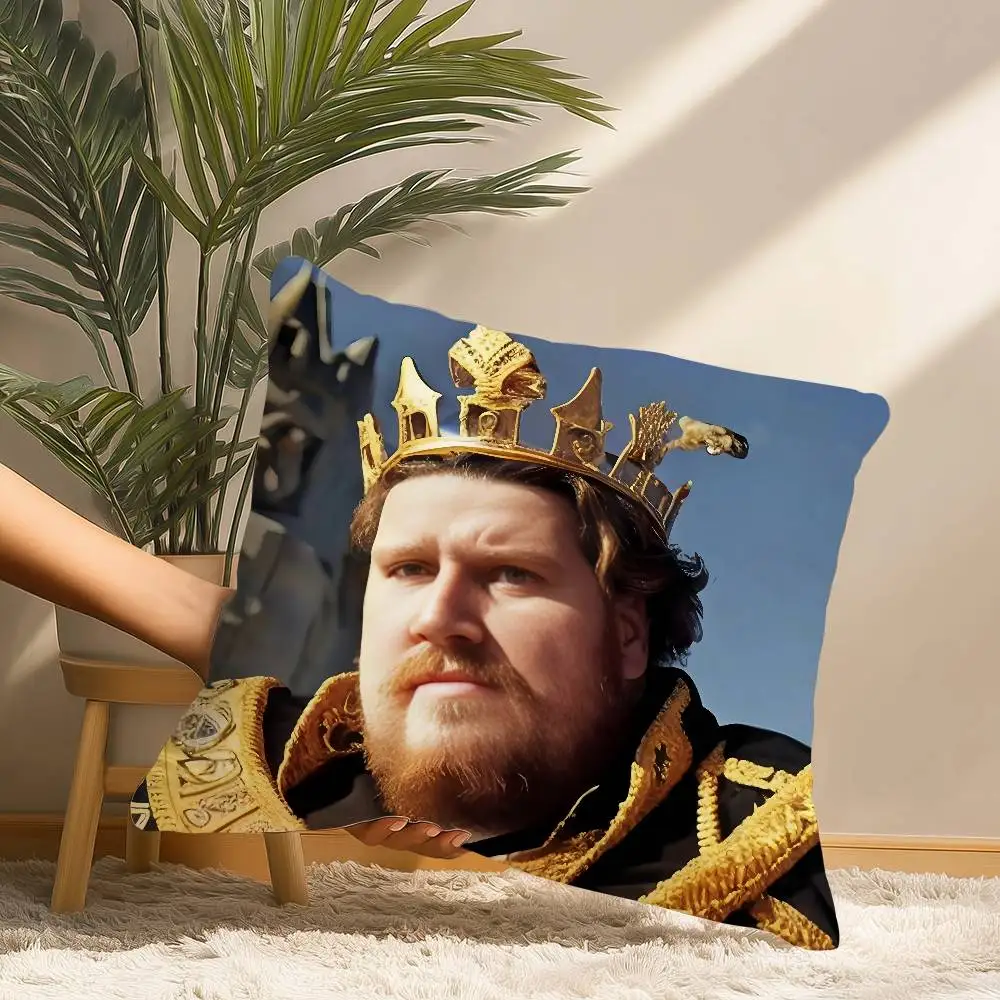 D-Drachenlord Rainer W-WinklerS كيس وسادة قصير أفخم طباعة غطاء الوسادة مربع رمي وسادة تغطي أريكة ديكور المنزل #3