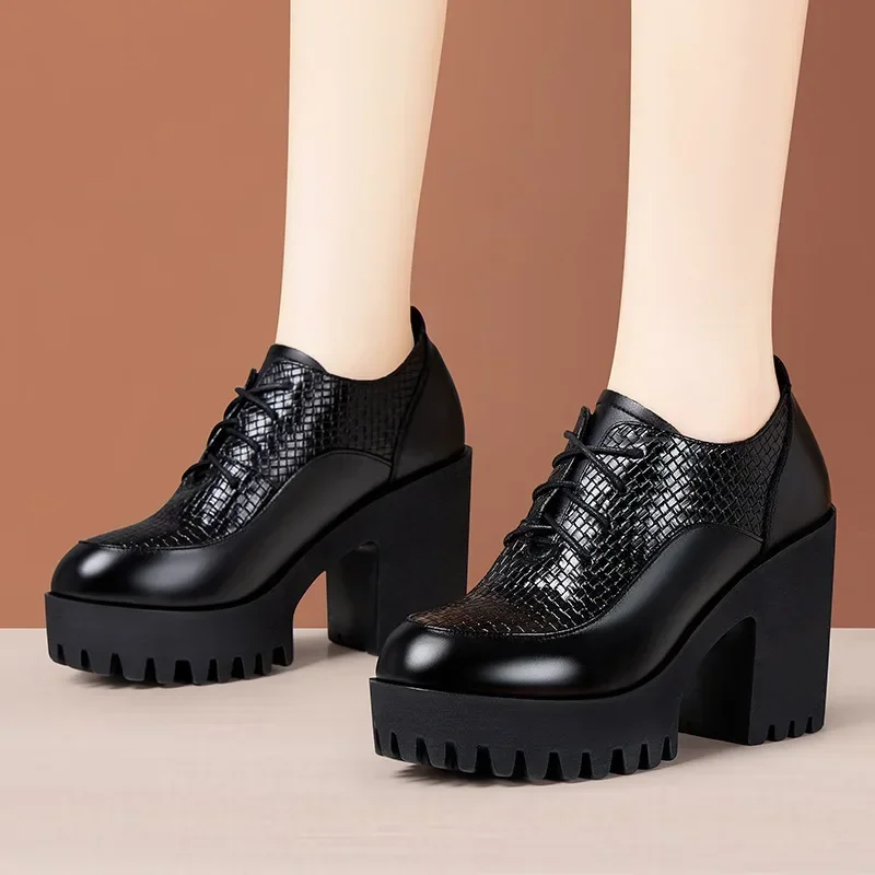 

8cm 10cm Elegant Knit Soft Leather Shoes Women's Platform Pumps Fall Winter 2025 Block High Heels Shoes with Fur Office Model