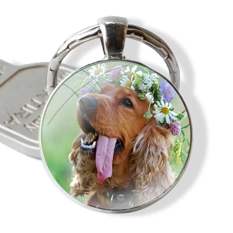 glass cabochon keychain Car key chain Charms keychains Gifts TPU Transparent Cover harper cocker spaniel hellip dog puppies Cute