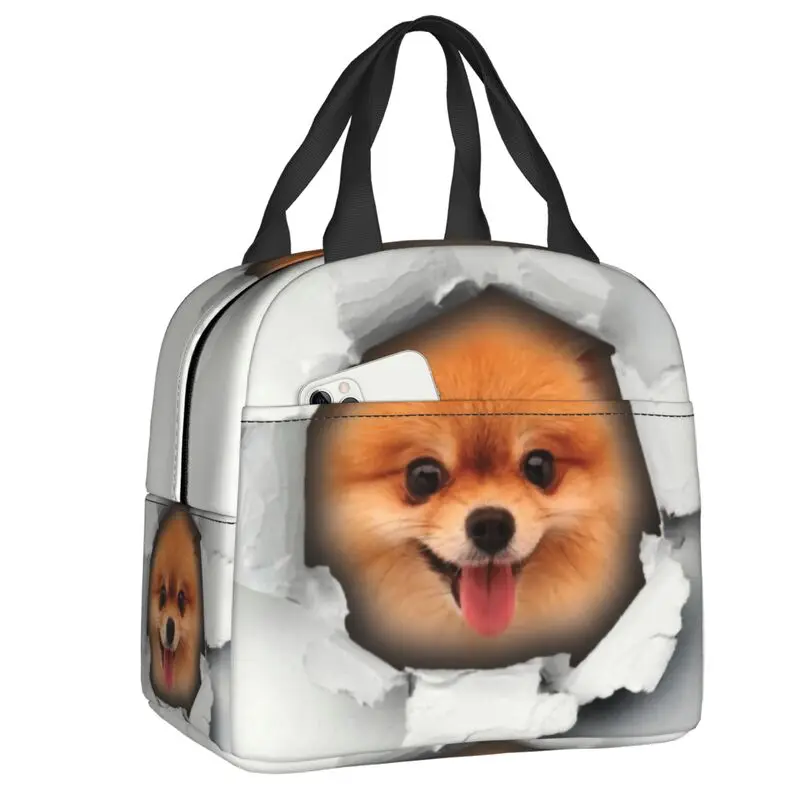 Cute Pomeranian Dog In A Hole Resuable Lunch Boxes for Spitz Puppy Cooler Thermal Food Insulated Lunch Bag Kids School Children