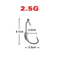 2.5g