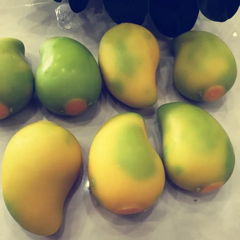 Simulation de mangue à couleur changeante, 1 pièce, pétrissage, décoration musicale, jouet d'aération des fruits, affichage de fenêtre, jouet de décompression, vente en gros