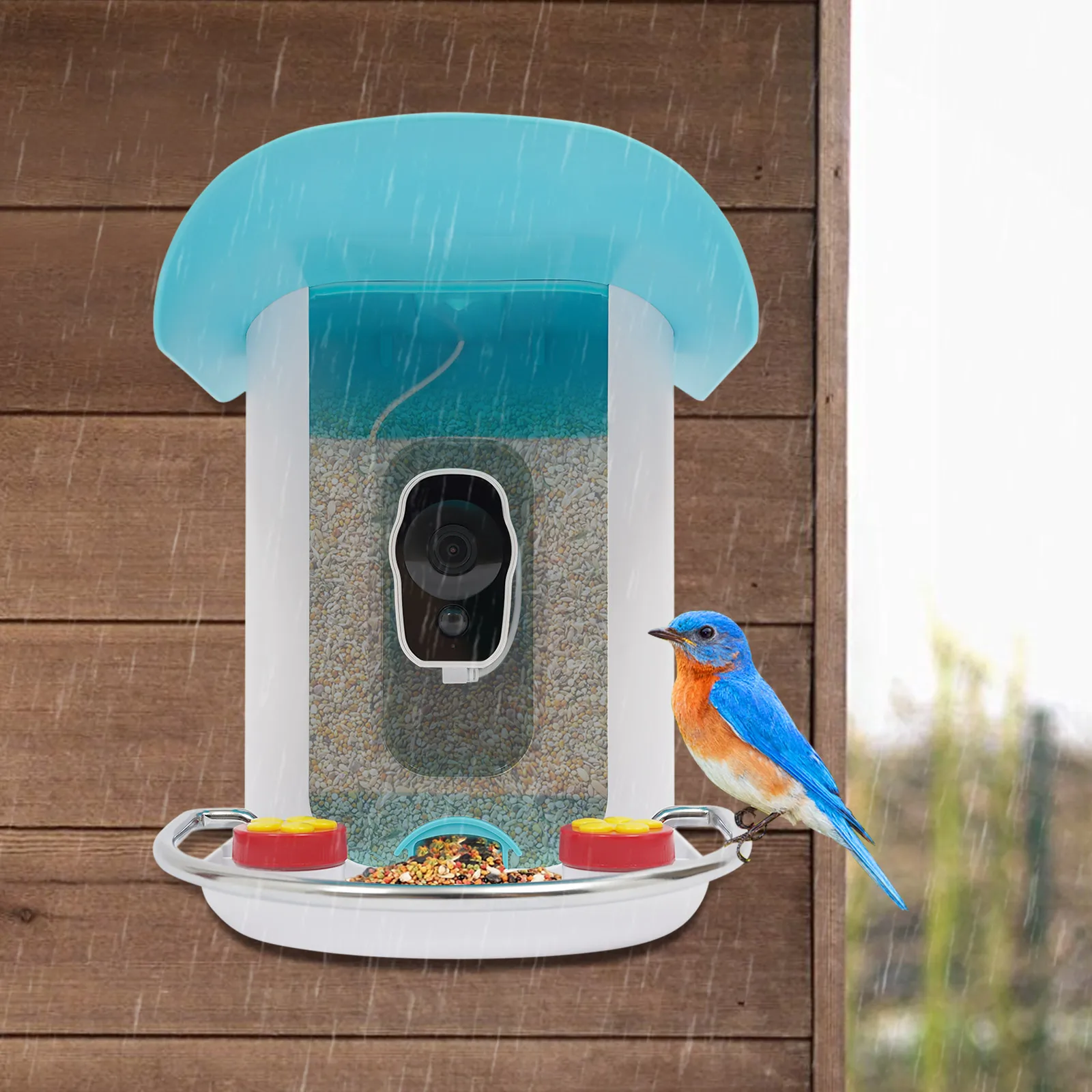Smart Bird Feeder with Camera, Bird House for Outside, Bird Auto Capture with Solar Panel Can Attract Sparrows, Hummingbirds