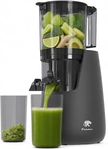 6" Extra Large Feed Chute Cold Press Juicer, Slow Masticating, AC Brushless Motor, BPA-Free, Easy Clean