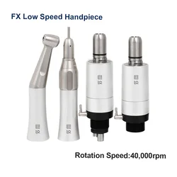 Dental FX Low Speed Handpiece Teeth Polishing Tool 2/4Holes Air Motor Kits Contra Angle Straight Handpiece Dentists Equipment