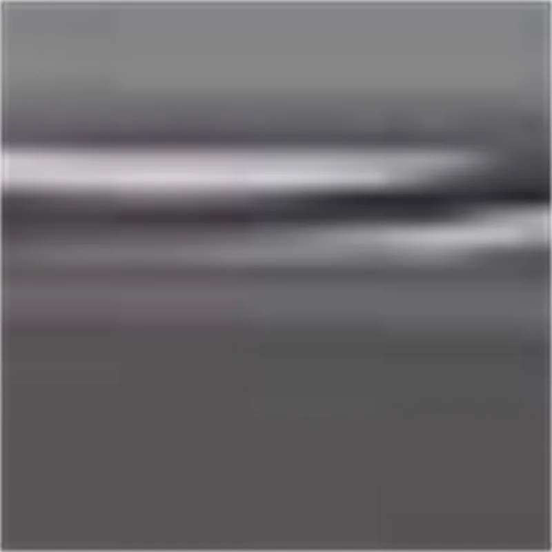 

High Efficiency Commercial Meat Shredding Cutting Machine Fresh Frozen Meat Cube Cutter