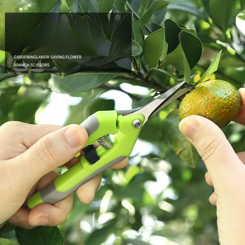 Tijeras de jardinería para podar ramas de frutas y verduras, tijeras para árboles frutales, recolección de uvas, herramientas de jardín, bonsái