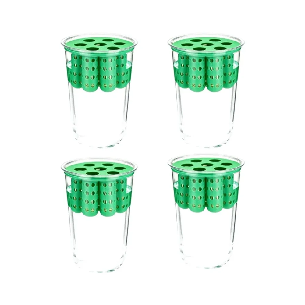 Kits de germinación de cebolla - Hydroponic Kit reseña y precio