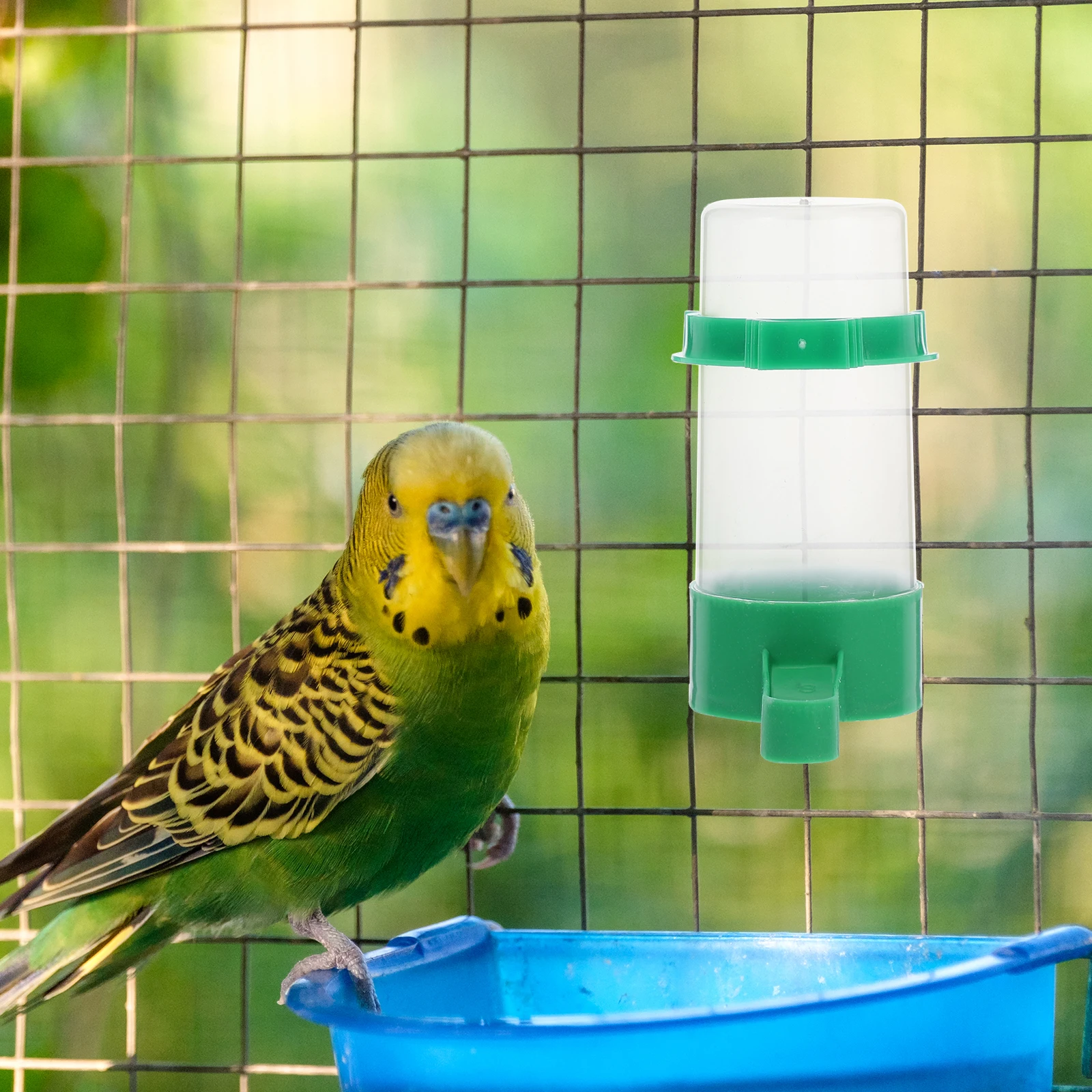 

5 Pcs Automatic Bird Water Dispenser Green Plastic Parrot Feeder Spillproof Durable ABS Suitable for Small Birds Easy Clean