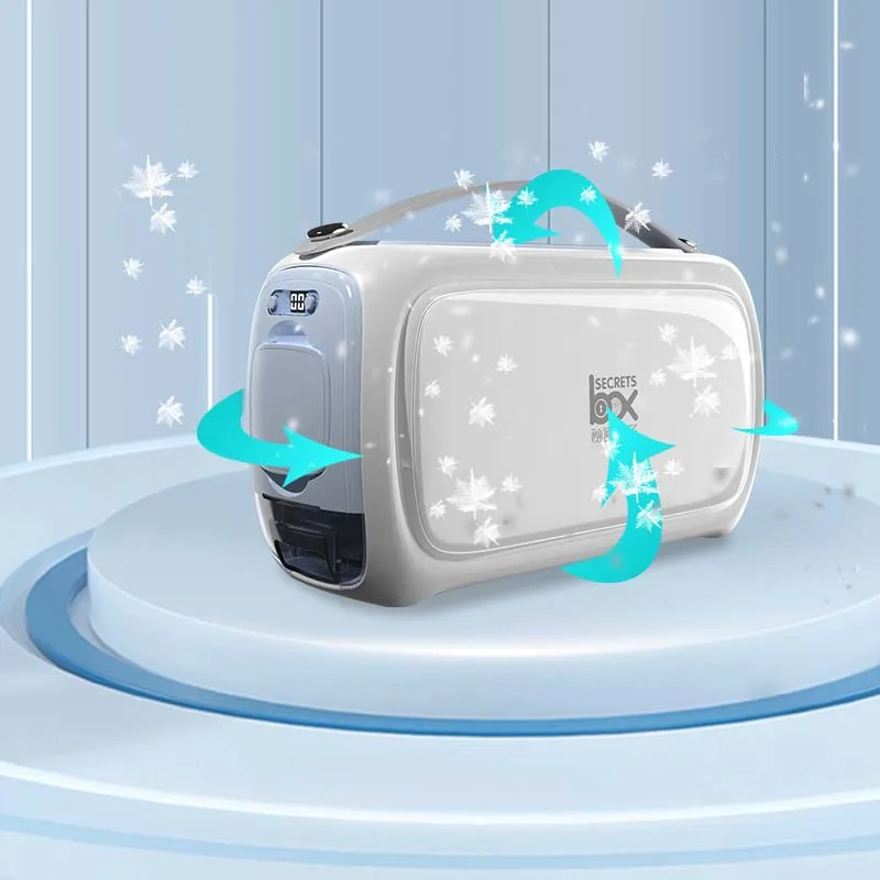 Wholesale Insulin Cooler Bag Dison 2-8 Degree Portable Cooler Box Diabetic Mini Refrigerator Insulin