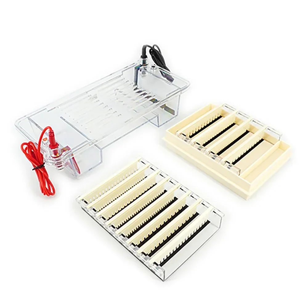Horizontal Agarose Gel Electrophoresis System Lab Electrophoresis Tank Equipment