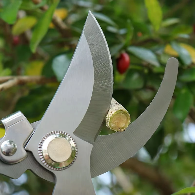 Pruner Garden Scissors Professional Sharp Bypass Pruning Shears Tree Trimmers Secateurs Hand Clippers For Garden Beak Scissors
