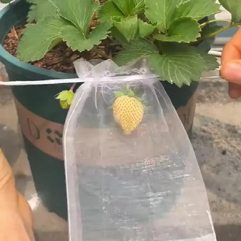 

50/100Pcs Fruit Protection Netting Bags With Drawstring Reusable Grape Grow Bags Strawberry Cover Mesh Bags For Pest Control