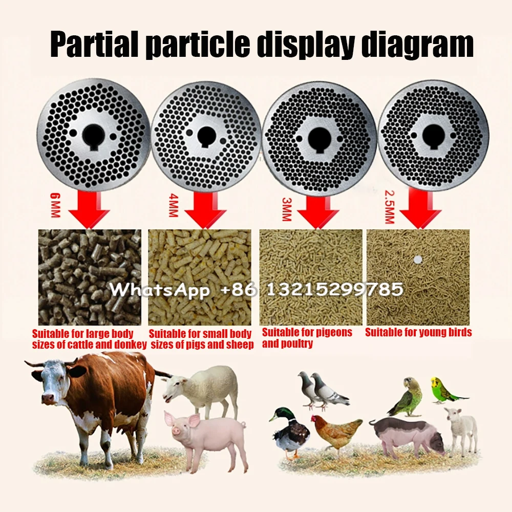 Mill Ring: La Scelta Perfetta per la Produzione di Mangimi Animali