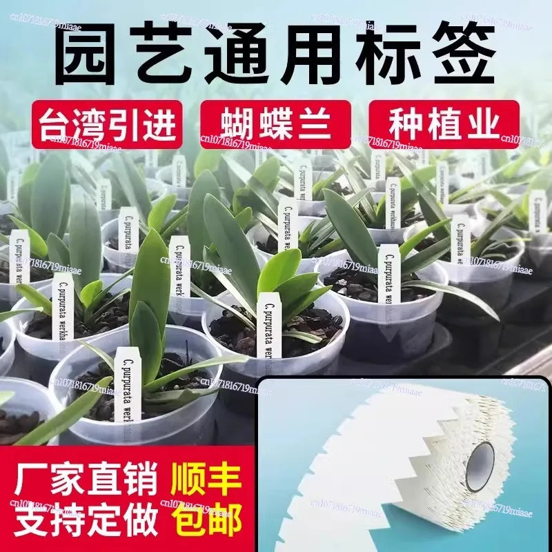 Color Waterproof Plant Flower Brand Seedling Breeding Phalaenopsis Orchid Flower Tag Label Machine Hit and Hit Gardening Label