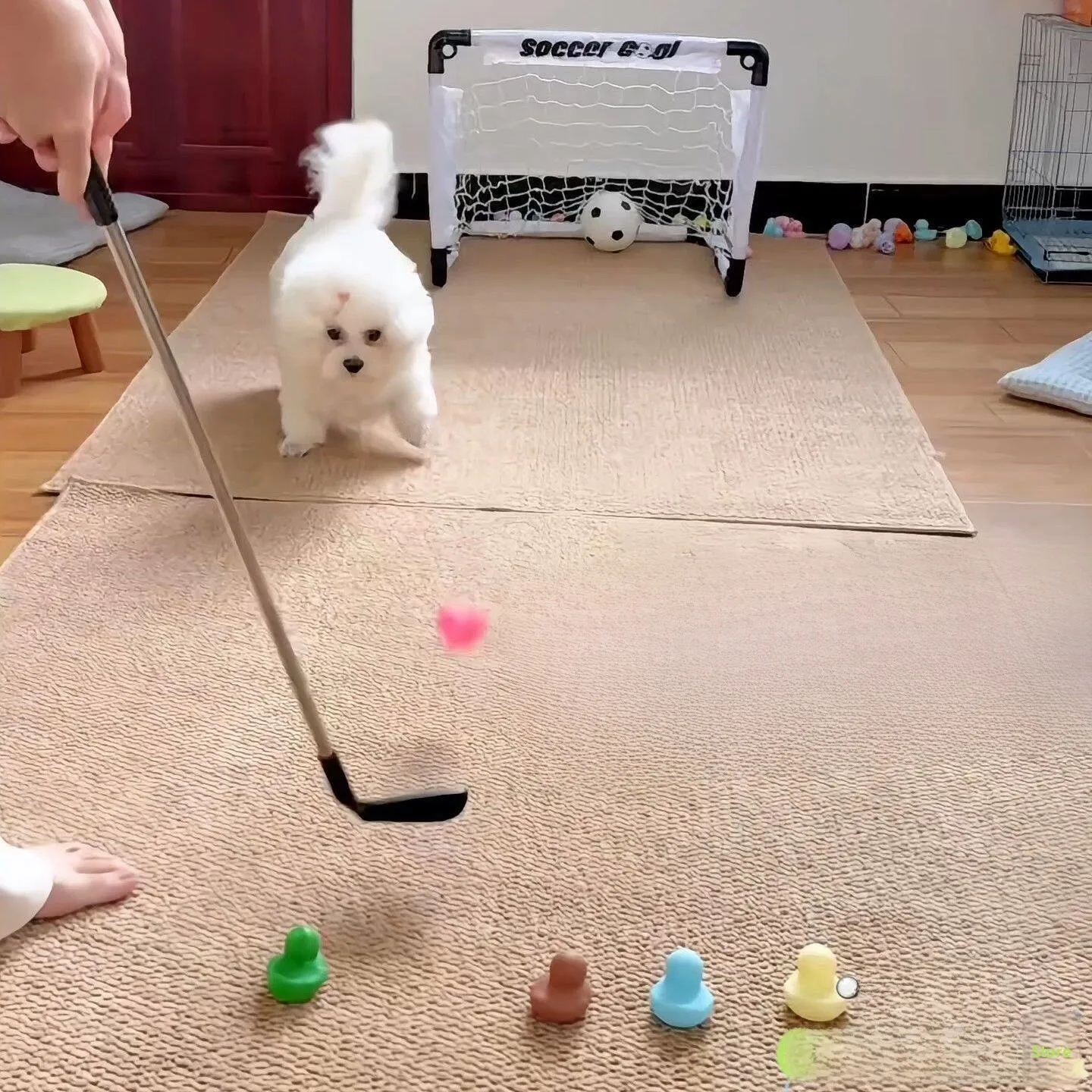 ensemble-de-clubs-de-golf-detachables-pour-enfants-et-adolescents-clubs-d'entrainement-pour-debutants-marque-blue-valley-sports-fitness