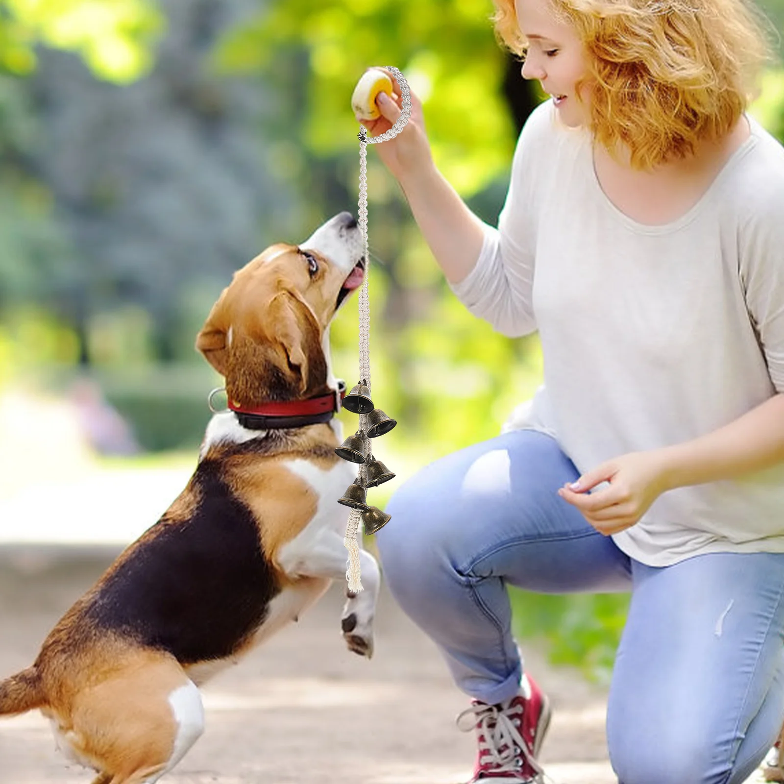 

Dog Potty Training Bell Doorbell Handle Durable Rope Bells For Dogs Outdoor Signal Pet Doorbell Housetraining Tool