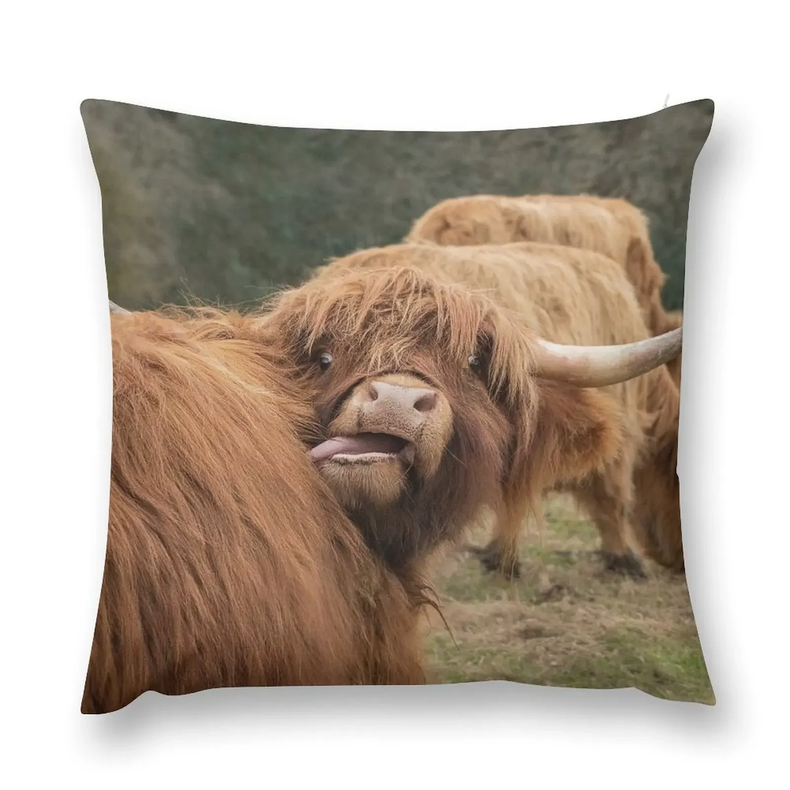 Funny Scottish Highland cow Throw Pillow ornamental pillows Cushion Child pillow