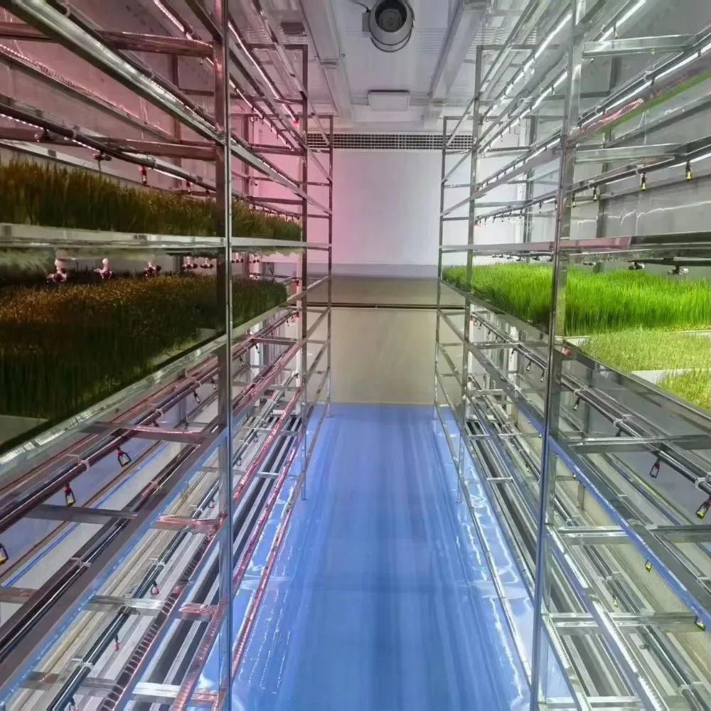 HydroBlue Smart Vertical Hydroponic Grow System Automated Container Farm Greenhouse Equipment Leaf Vegetables Pump Core