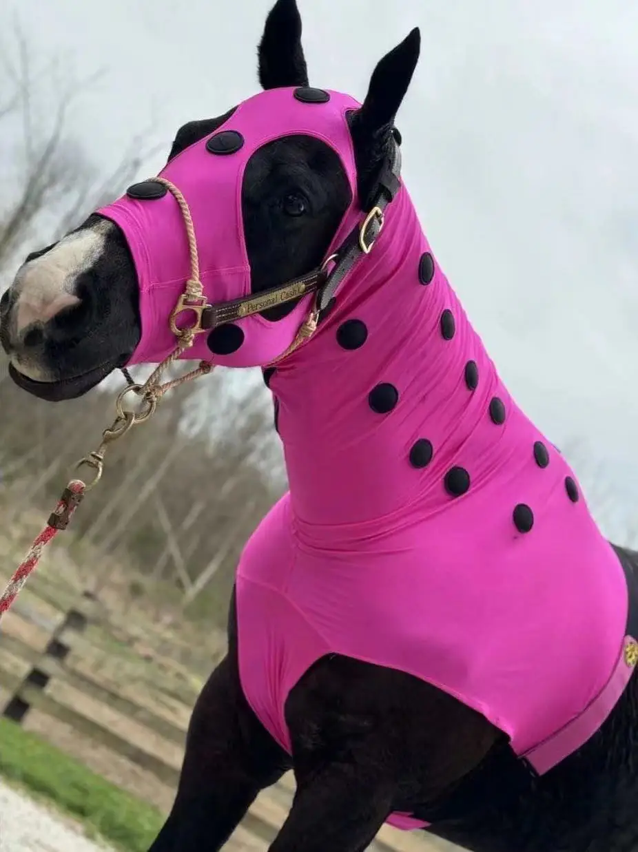 Multi Style Zip Closure Summer Nylon Fly Rug Breathable Horse Protection Sheet