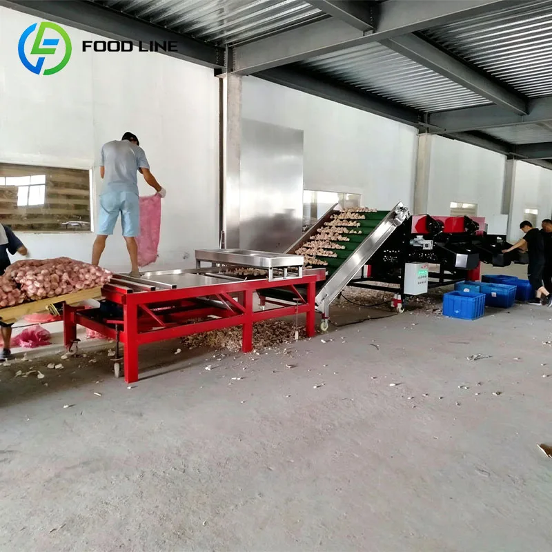 Vegetable Sorting Machine Produce Grader Fruit Size Sorter for Garlic Potato Onion Tomato Carrot Avocado Customized