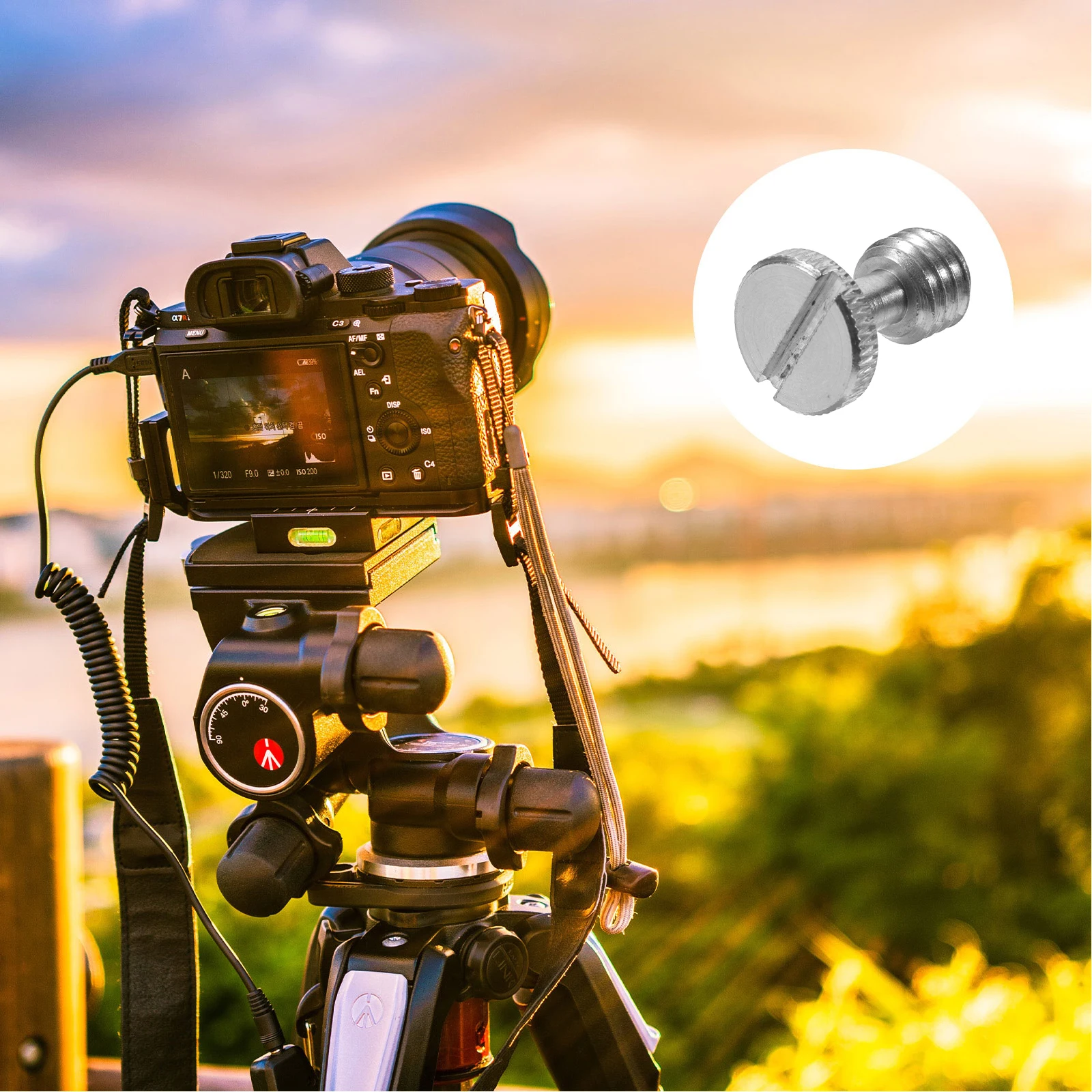

5Pcs 3 8 Tripod Screw Camera Thumb Screws Quick Release Camera Mount Screw Durable Solid Iron for Tripod Mount Replacement