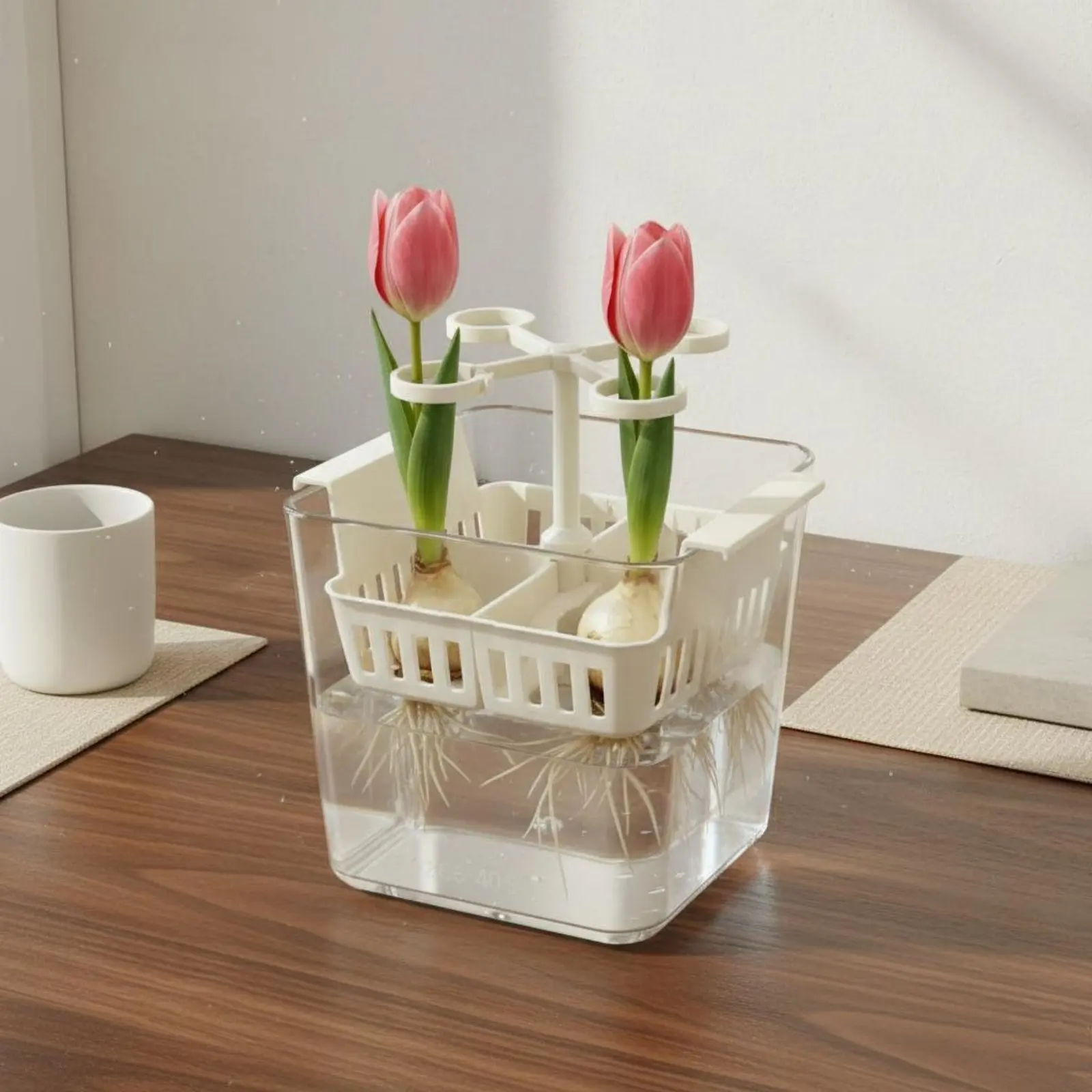 

Hydroponic Flower Pot Built-in Planting Basket Desktop Flower Forcing Pot 3 Compartment Bulb Planter Easy to Clean for Indoor