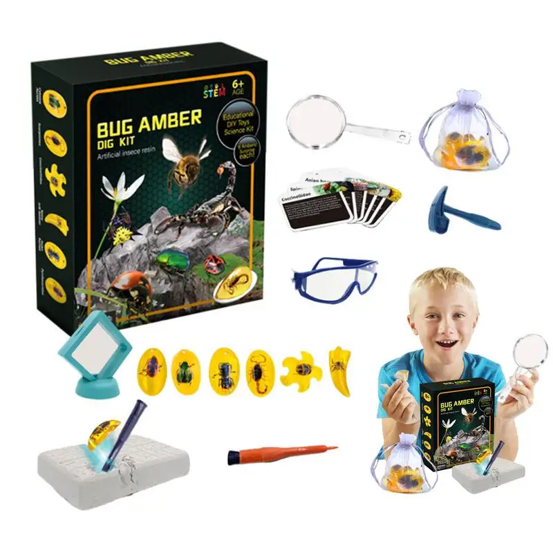 

Fly Amber Dig Kit Amber Dig Kit Science Toys Educational Toys 6 Fly Specimens Science Kits Artificial Fly STEM Toy Dig Set Party