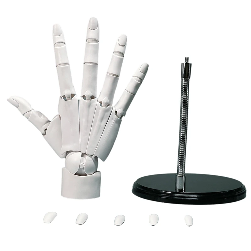 Universal Flexible Hand Model, Movable Artist Mannequin Hand Shape, For Home Office Desk Decoration, Display