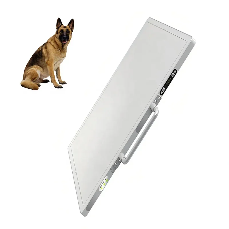 X-ray Flat Panel Detector, X-ray Digital Imaging System, Digital Image Detection Device