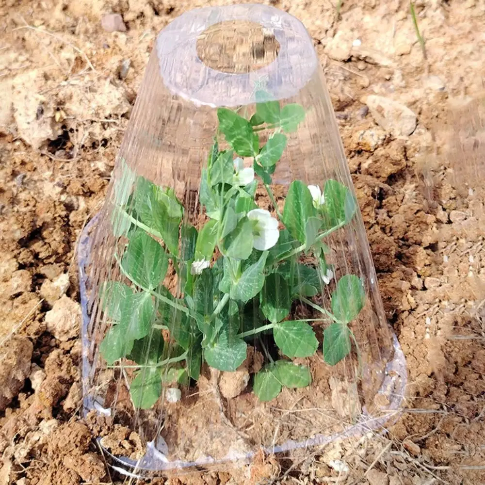 

20pcs Conical Plant Insulation Cover Windproof Anti-freeze Plant Seedling Cover Cold-proof Warm Keeping Flower Protector