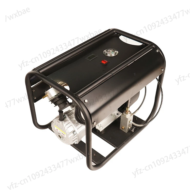 Air Compressor 300Bar 30MPA 4500PSI PCP High Pressure Pump Pneumatic Rifle Filling Gas Cylinder Tank Scuba Set Pressure D012