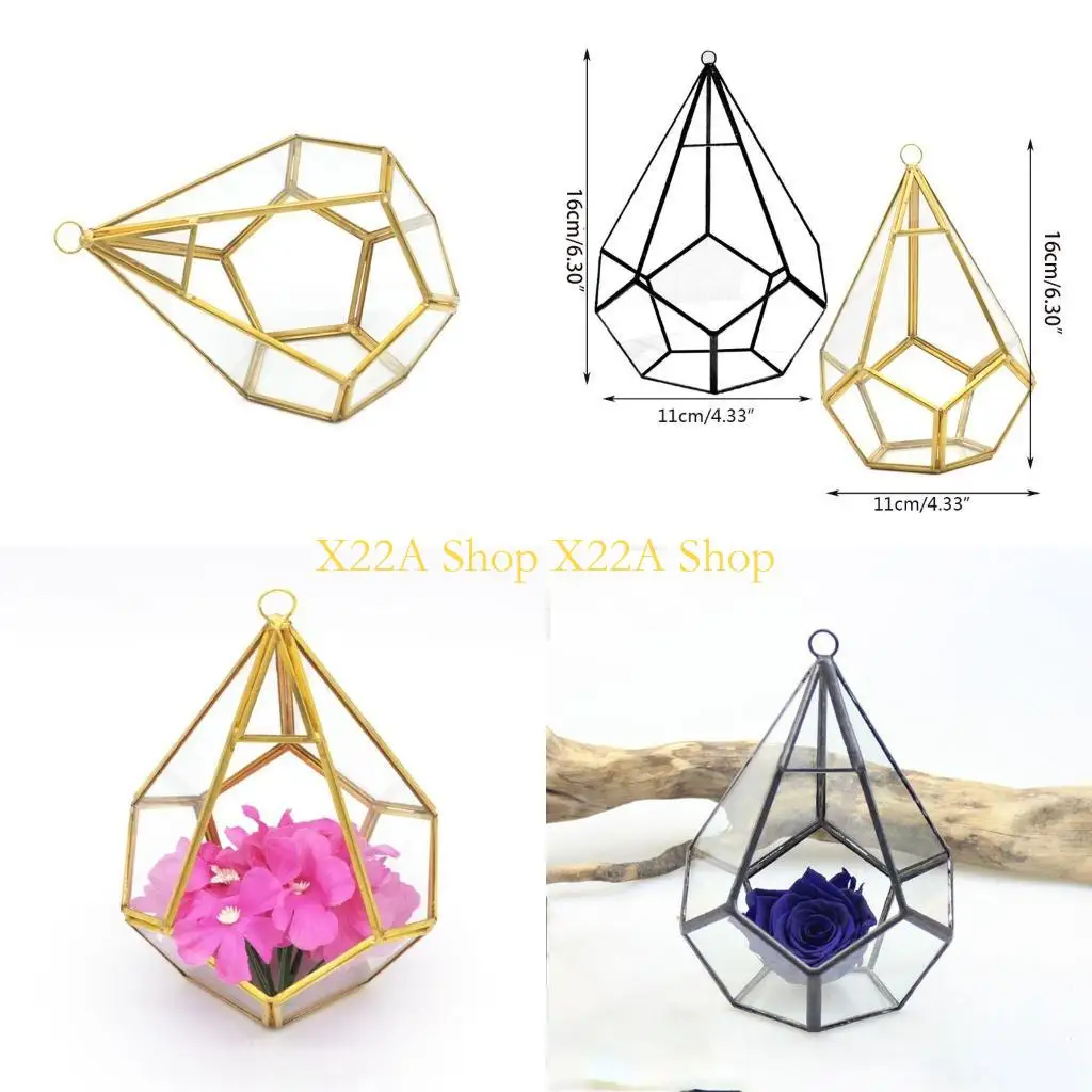 terrario-suculento-geometrico-unico-maceta-flores-musgo-transparente-maceta-interior