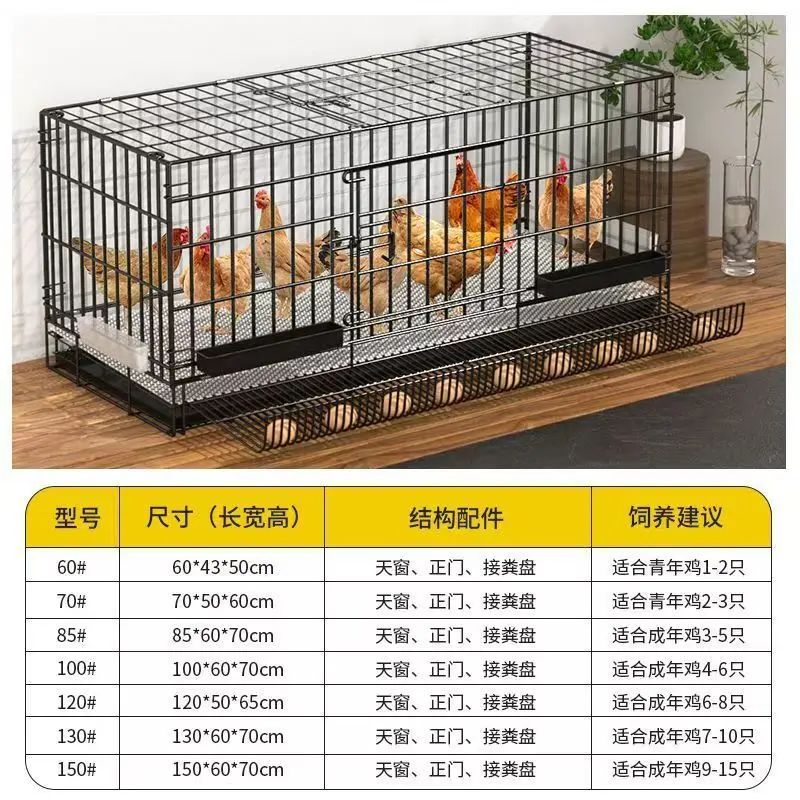 Production automatique d'œufs, pliante, cage à poulets