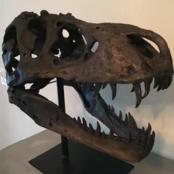 Wekkbe 1Pc Crafts Arts Crafts 1/12 Tyrannosaurus Rex Dinosaur Skull Handicrafts Resin Fossil Simulation Skull Model 2023