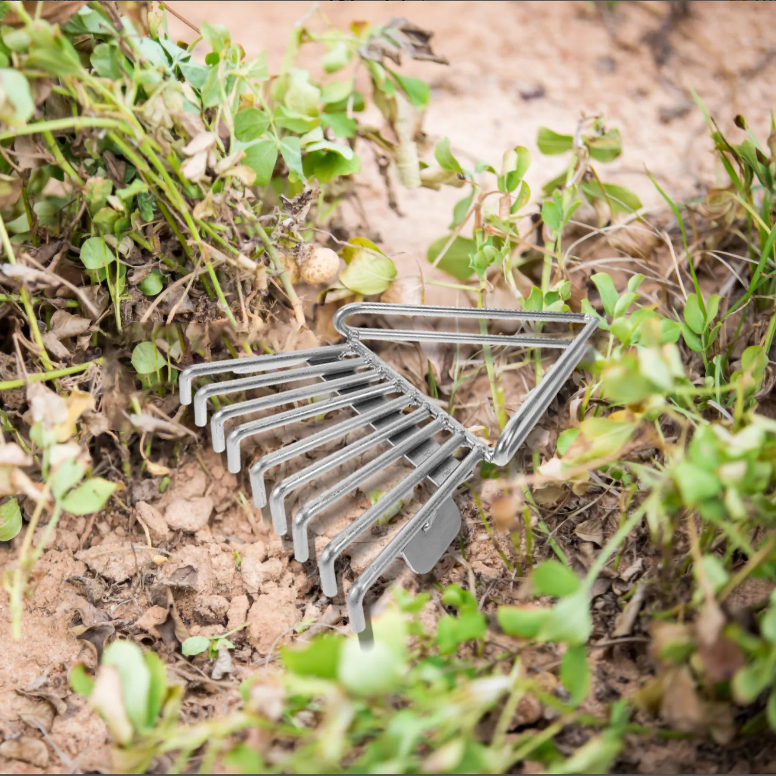 Metal Peanut Picker Manual Tool Compact Lightweight Peanut Crop Remover Farm Accessory Fruit Catcher Cherry Picker