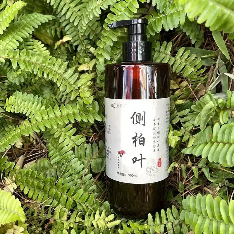 shampoing-naturel-a-base-de-plantes-avec-feuilles-de-cypres-et-extraits-de-ginseng-controle-efficace-de-l'huile-et-nourrissant-pour-les-champignons-en-ligne