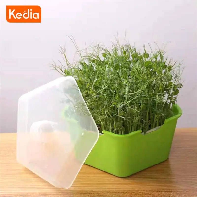 Bean Sprout Growth Tray Easy To Sow Mould Proof Health And Environmental Safe Materials Pot Growth Box Ventilate