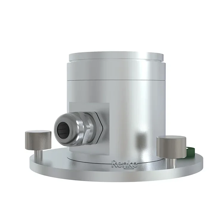 2025 Renke Long Range 290-390 nm Ultraviolet Rays Monitoring Waterproof UV Radiation Sensor Detector
