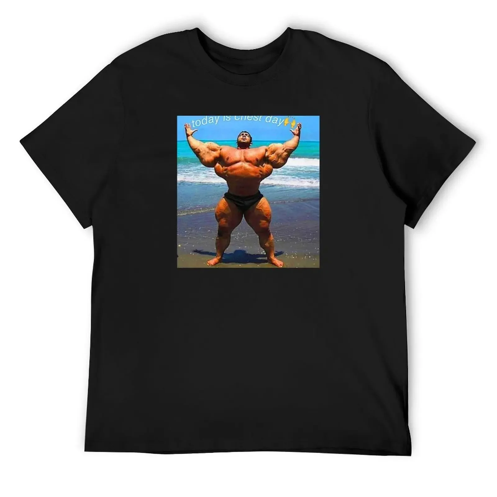 chest day meme T-Shirt vintage heavyweights basketball graphic tees t shirt men