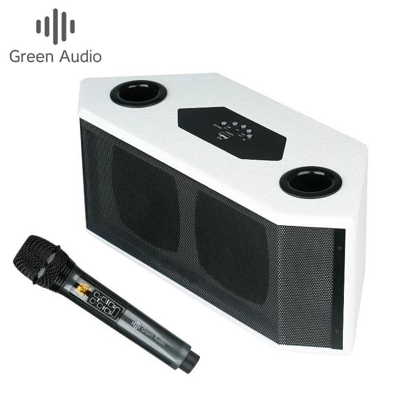 100W Super Power Portable Wireless Bluetooth Speakers with 2 MIC DSP Professional Active Home Karaoke Suitable for Outdoor KTV