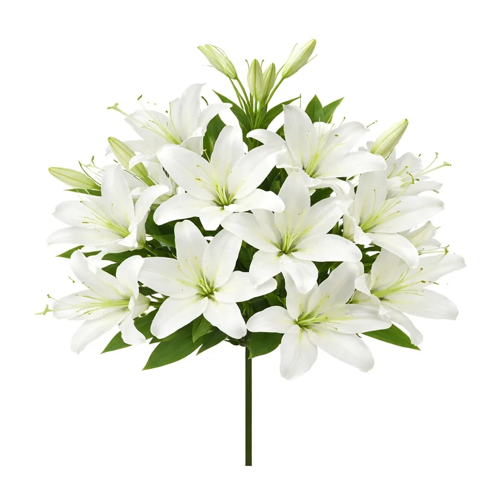 

Fashion 18 Heads Artificial Lilis DIY Flower Floral Arrangement Fake Flowers Multicolor Realistic Flower Bouquet Home Decoration